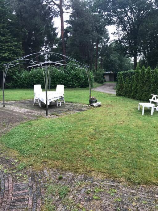 施皮尔Sfeervol Chalet In Drenthe Bij Het Dwingelderveld别墅 外观 照片