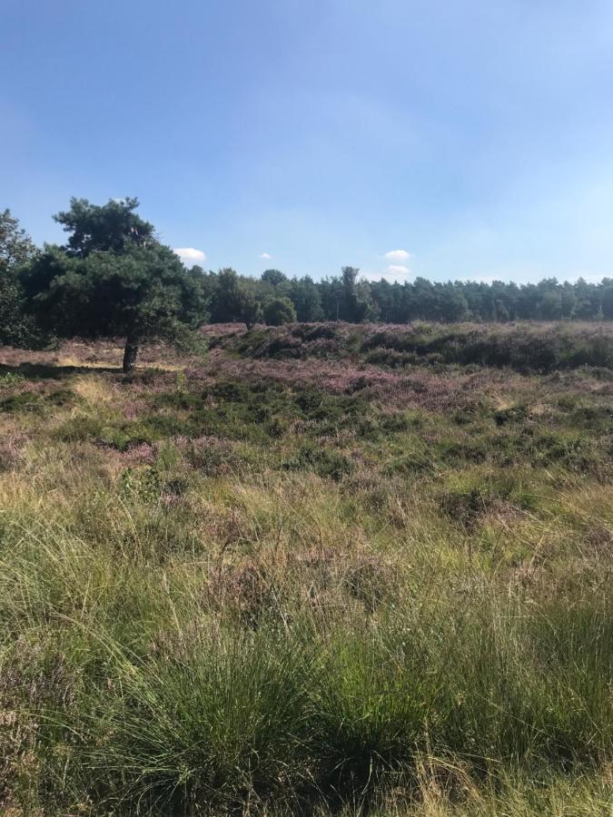 施皮尔Sfeervol Chalet In Drenthe Bij Het Dwingelderveld别墅 外观 照片